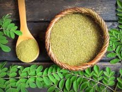 moringa 1