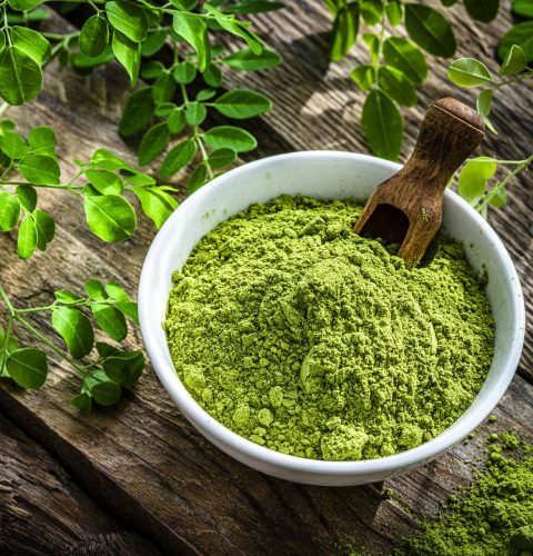 moringa 4