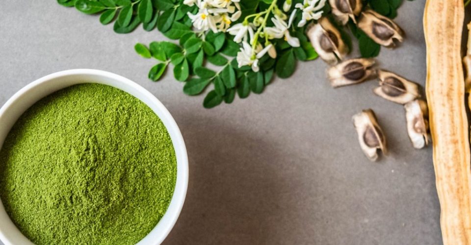 moringa 5
